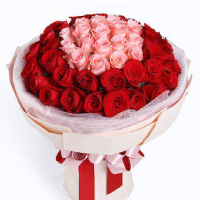 48 stems roses