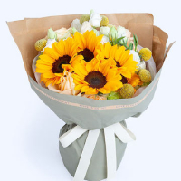 Shanghai sunflowers