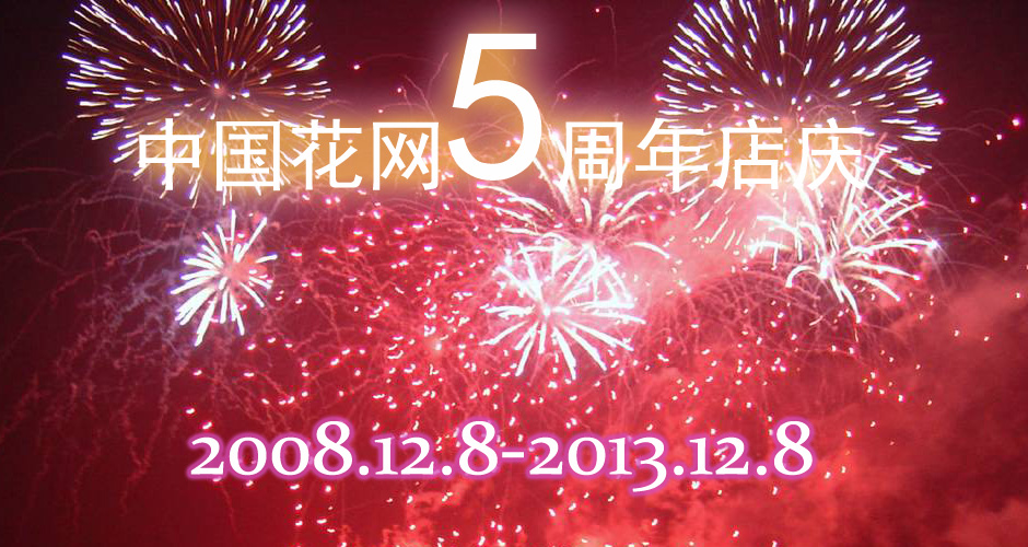 5周年店庆 5周年店庆