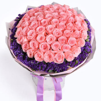66 stems pink roses