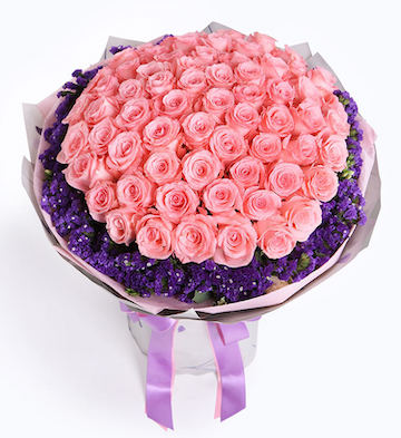 66 stems pink roses