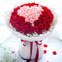 luxury roses