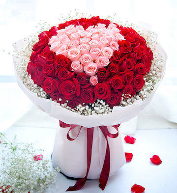 luxury roses