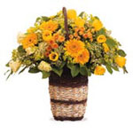 Taste of Honey Taste of Honey