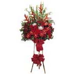 Red Rubber Bounce Red Rubber Bounce