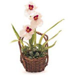 Stand by Me Stand by Me