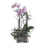 Everyday People Everyday People