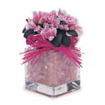 A Song For You A Song For You